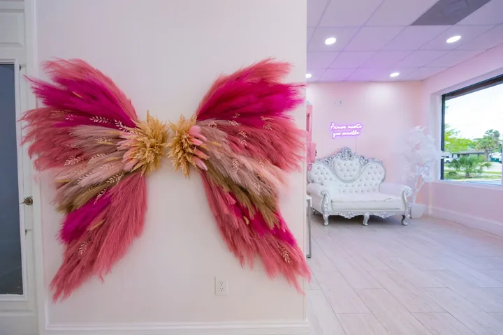 Pink feathered butterfly wall art